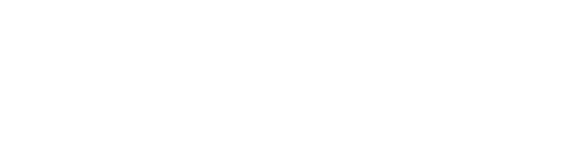 Nespresso Pro white logo